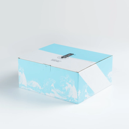 Caja Azul Conservas Remo – Selección Gourmet del Mar