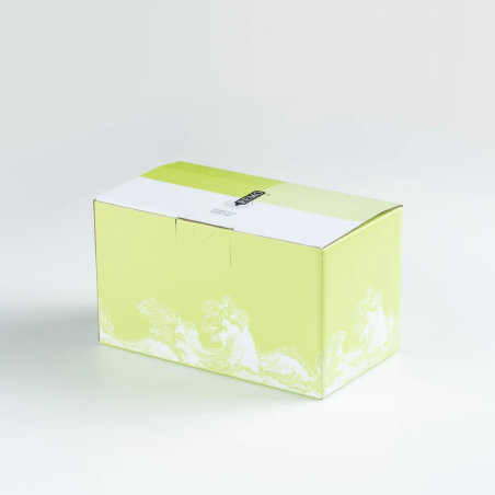 Caja Verde Conservas Remo – Selección Gourmet del Mar